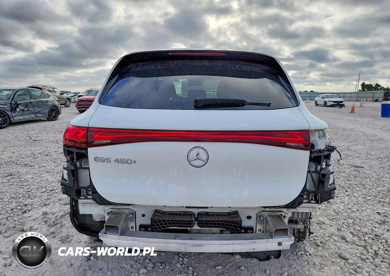 2023 Mercedes-Benz Eqs Suv 450+ VIN:4JGDM2DB0PA009150 - 6