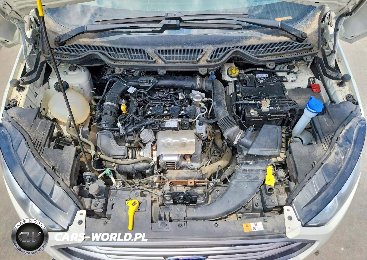 2021 Ford Ecosport Se VIN:MAJ3S2GE5MC452363 - 12