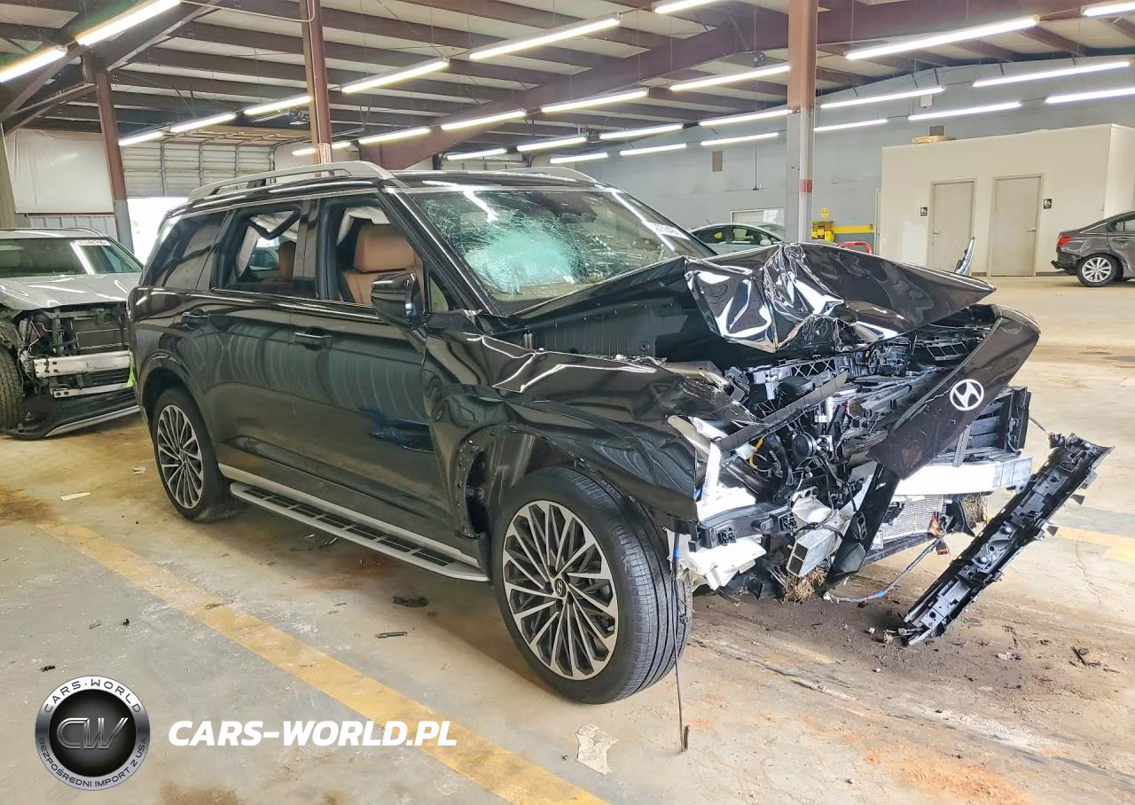 2026 Hyundai Palisade Calligraphy VIN:KM8RMES23TU064517 - 4