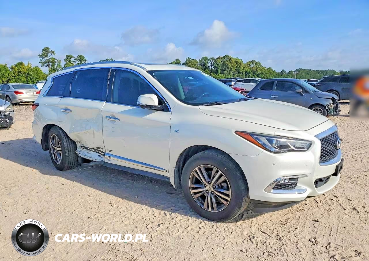 2020 Infiniti Qx60 Luxe VIN:5N1DL0MN6LC509104 - 4