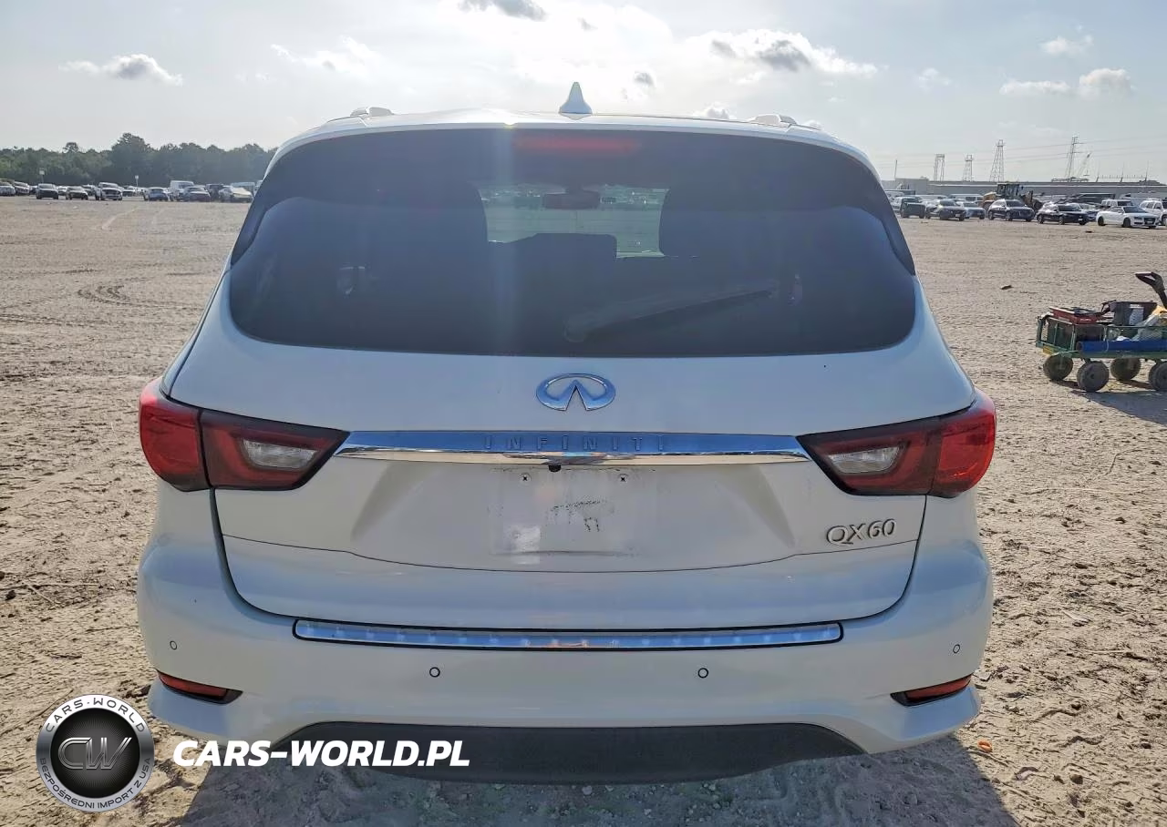 2020 Infiniti Qx60 Luxe VIN:5N1DL0MN6LC509104 - 6