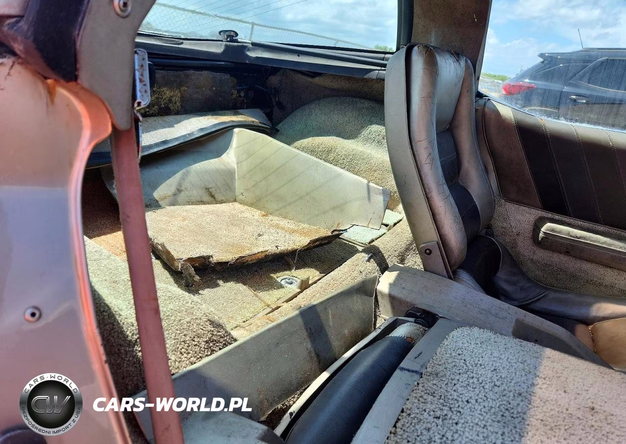 1982 Chevrolet Corvette VIN:1G1AY0788C5121304 - 10