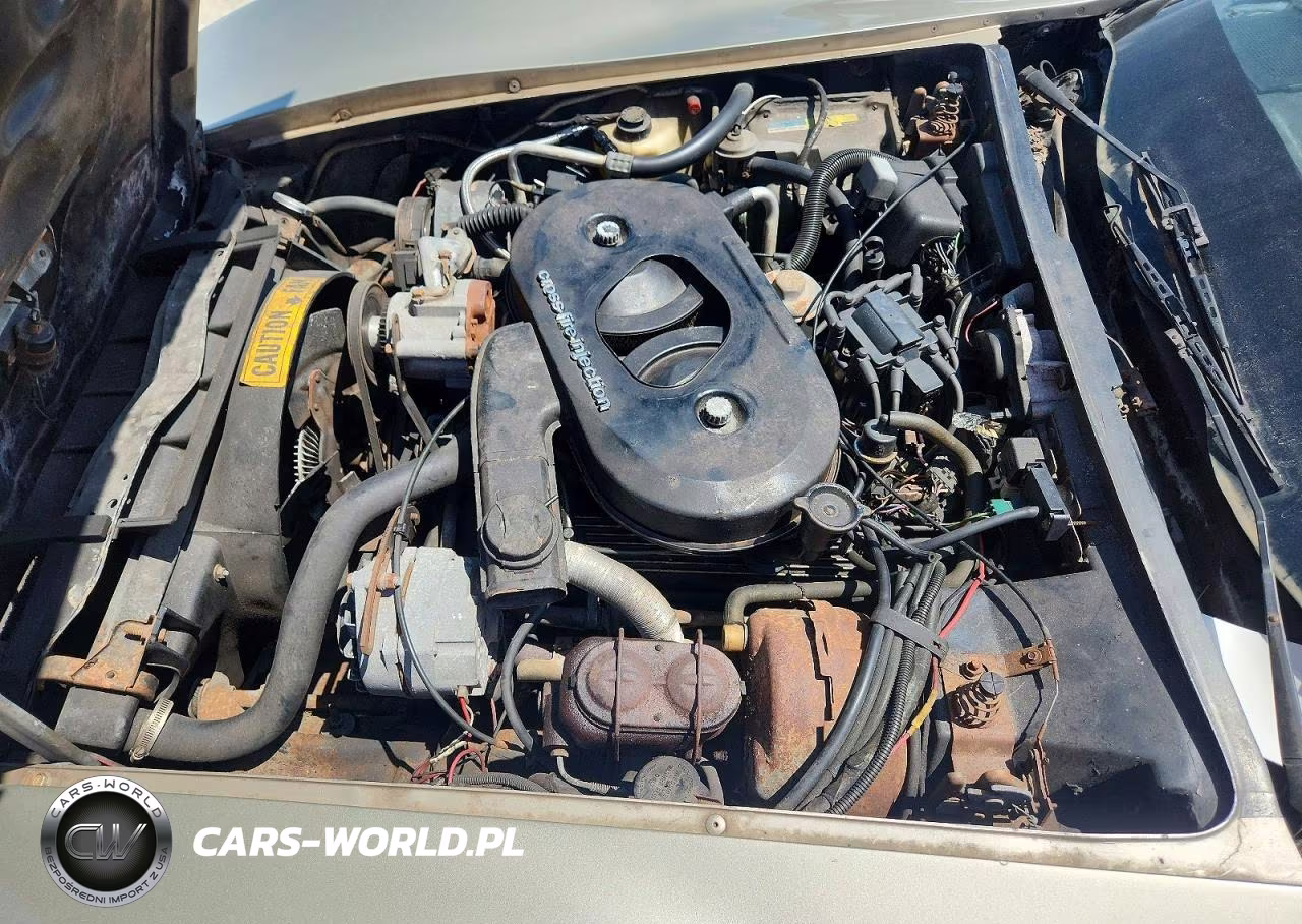 1982 Chevrolet Corvette VIN:1G1AY0788C5121304 - 11