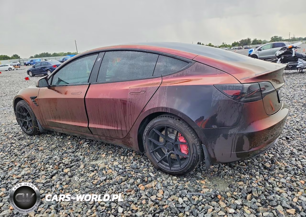 2021 Tesla Model 3 VIN:5YJ3E1EB7MF099213 - 2