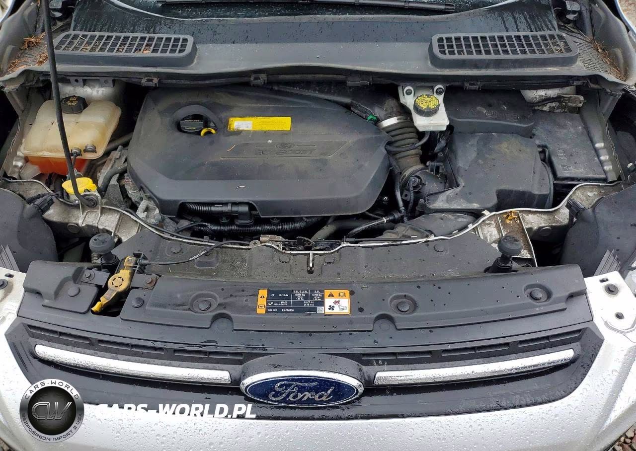 2015 Ford Escape Se VIN:1FMCU9GX1FUC31365 - 12