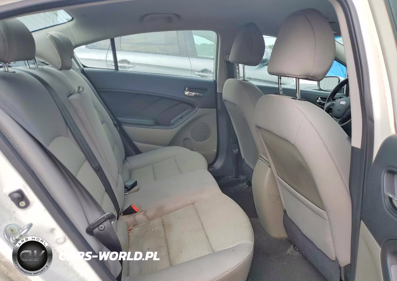 2016 Kia Forte Lx VIN:KNAFX4A6XG5535900 - 10