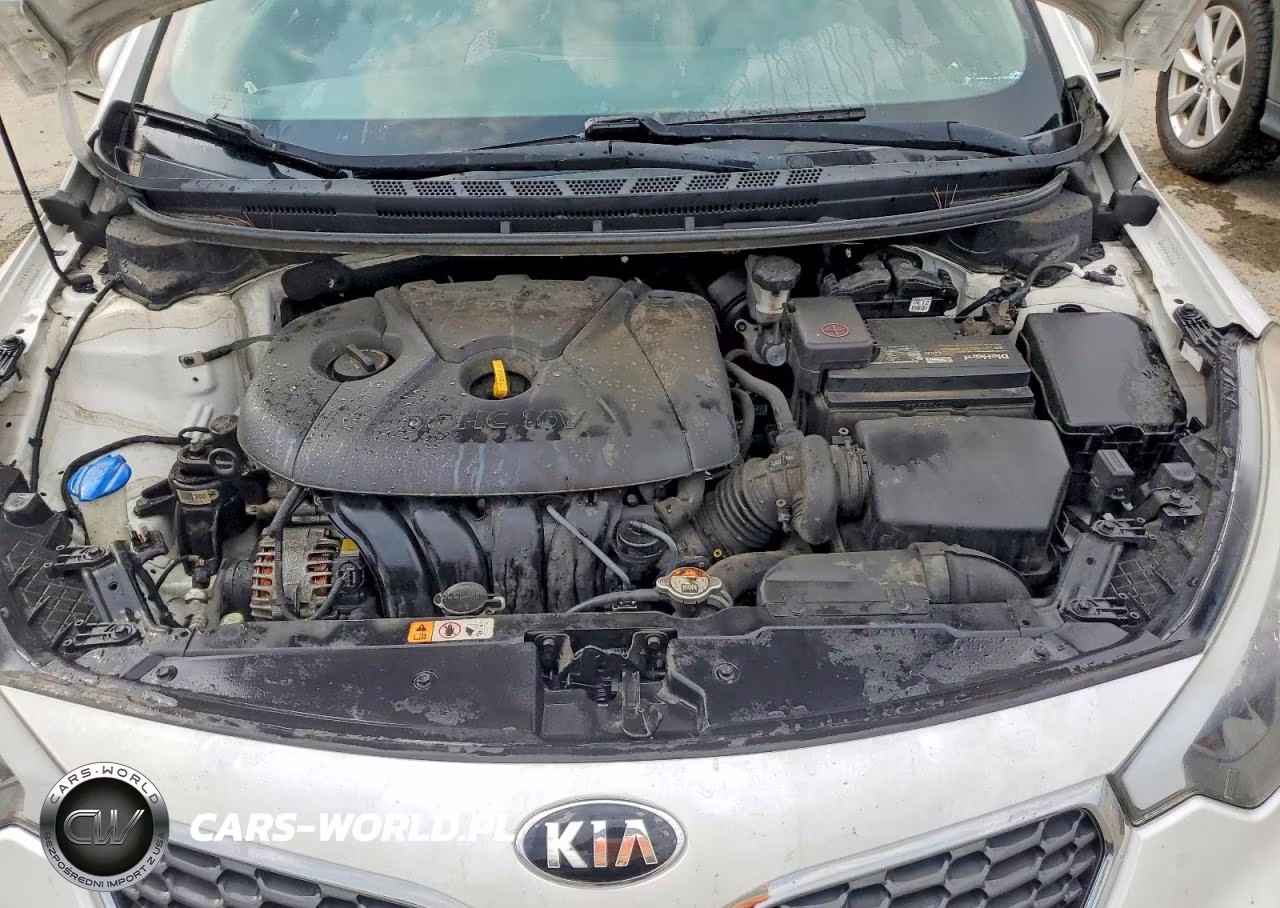 2016 Kia Forte Lx VIN:KNAFX4A6XG5535900 - 11