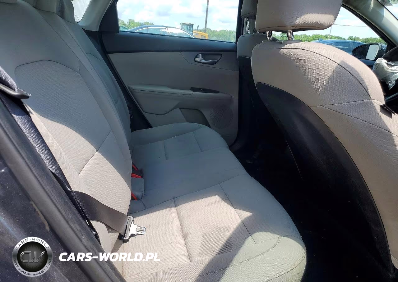 2020 Kia Forte Lxs VIN:3KPF24AD1LE217338 - 10