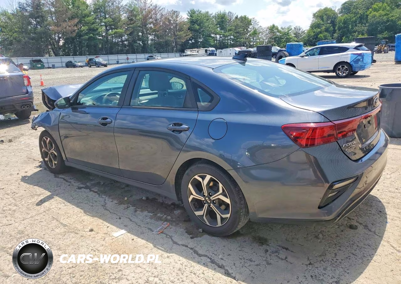 2020 Kia Forte Lxs VIN:3KPF24AD1LE217338 - 2
