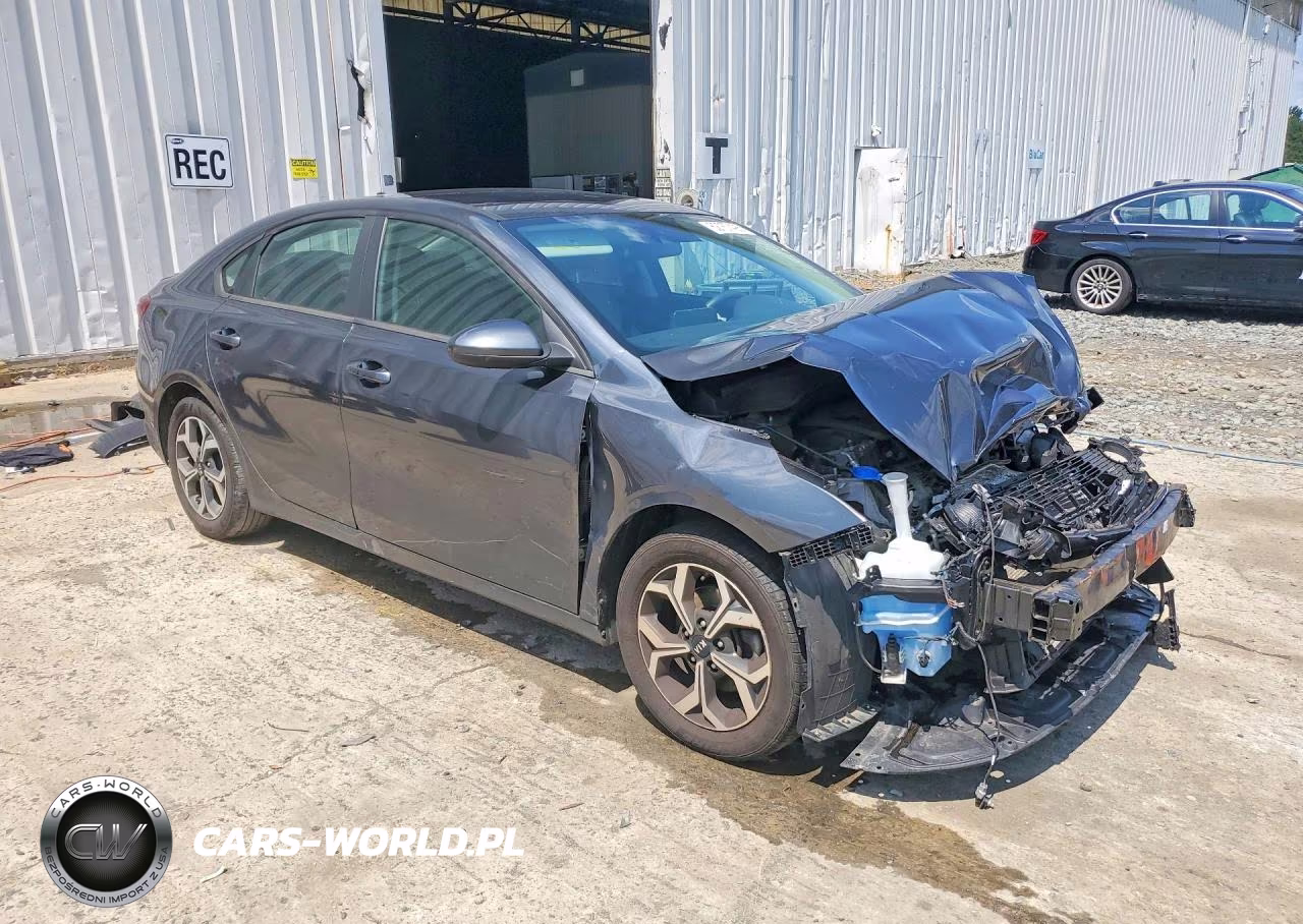 2020 Kia Forte Lxs VIN:3KPF24AD1LE217338 - 4