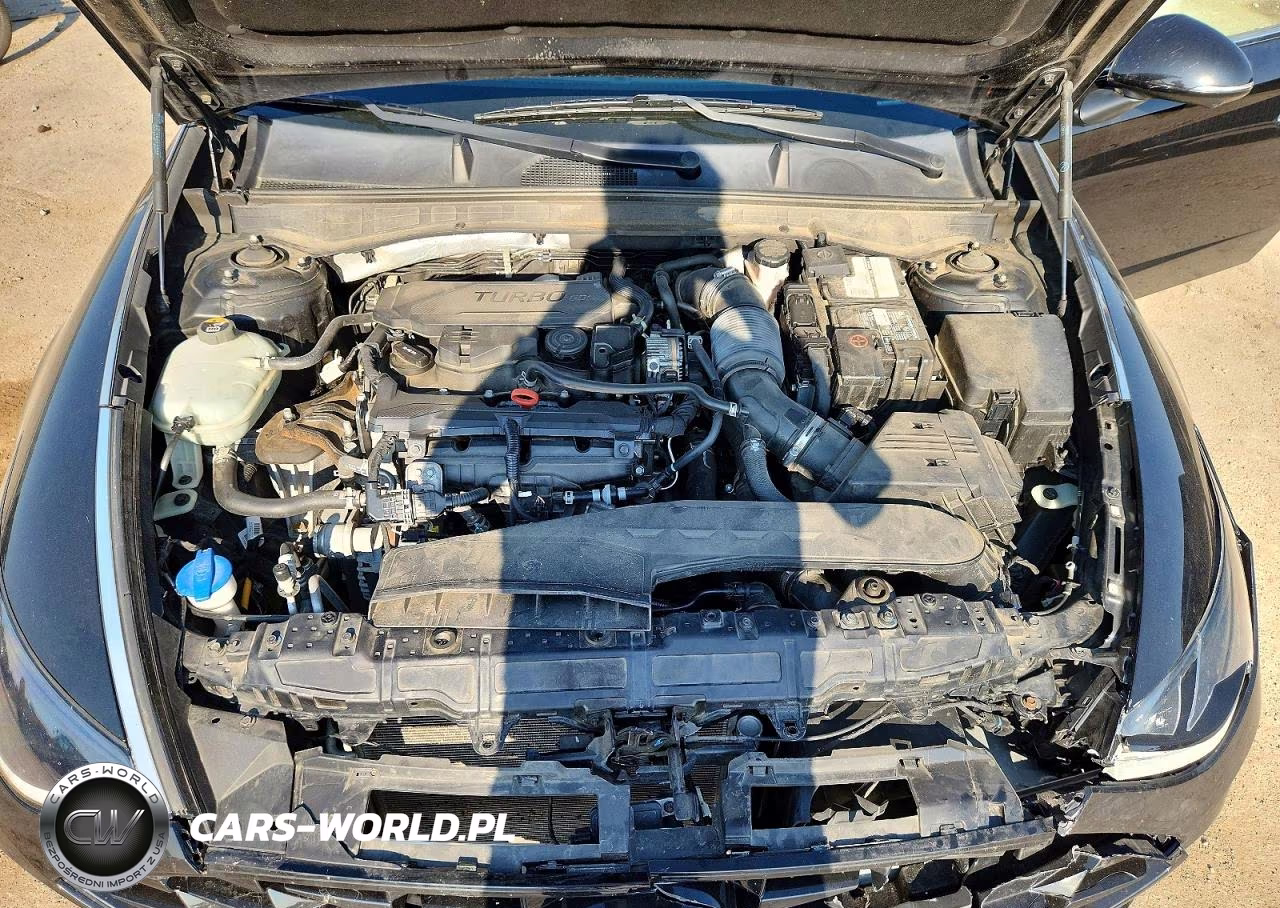 2020 Hyundai Sonata Limited VIN:5NPEH4J23LH010664 - 11