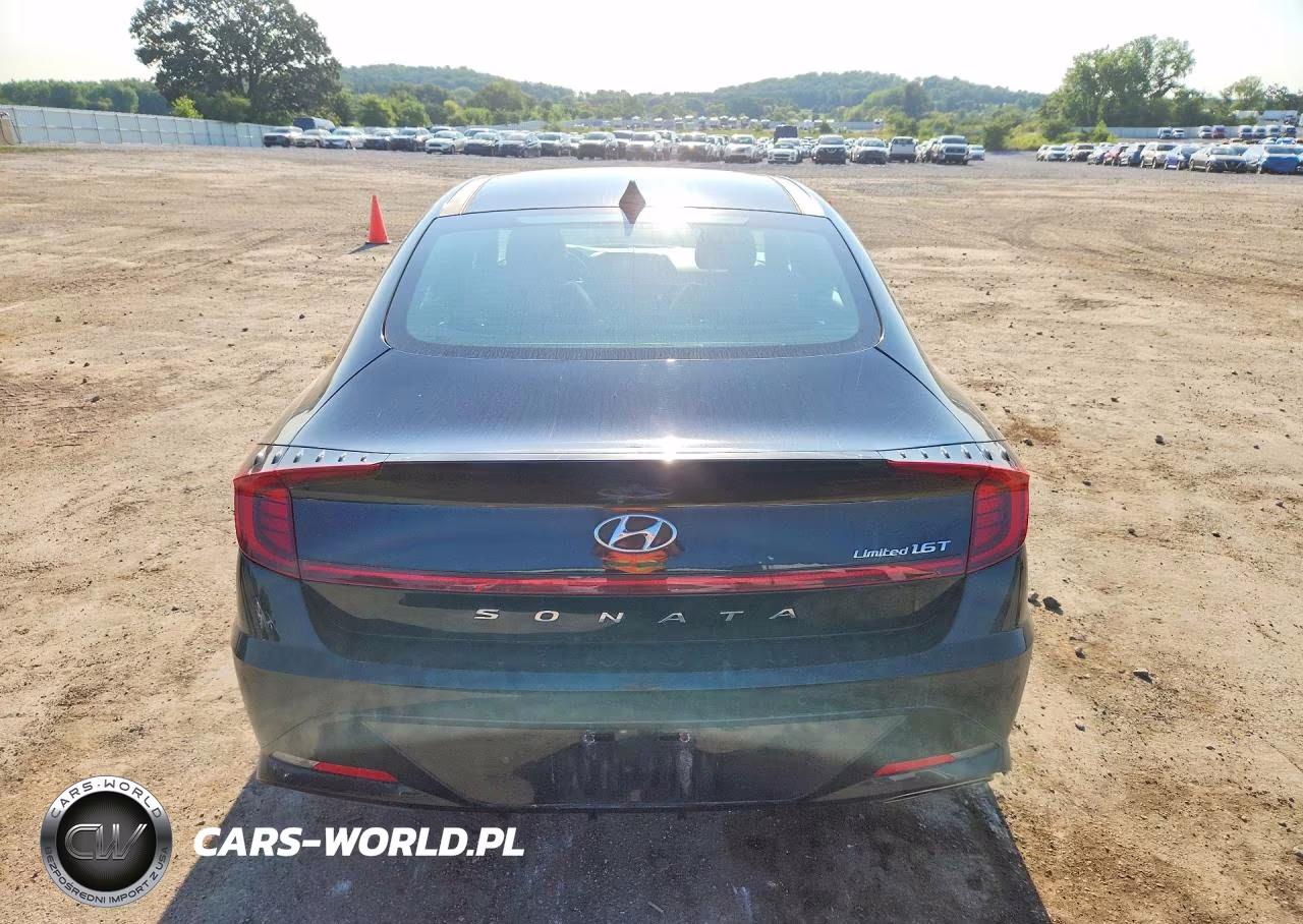 2020 Hyundai Sonata Limited VIN:5NPEH4J23LH010664 - 6