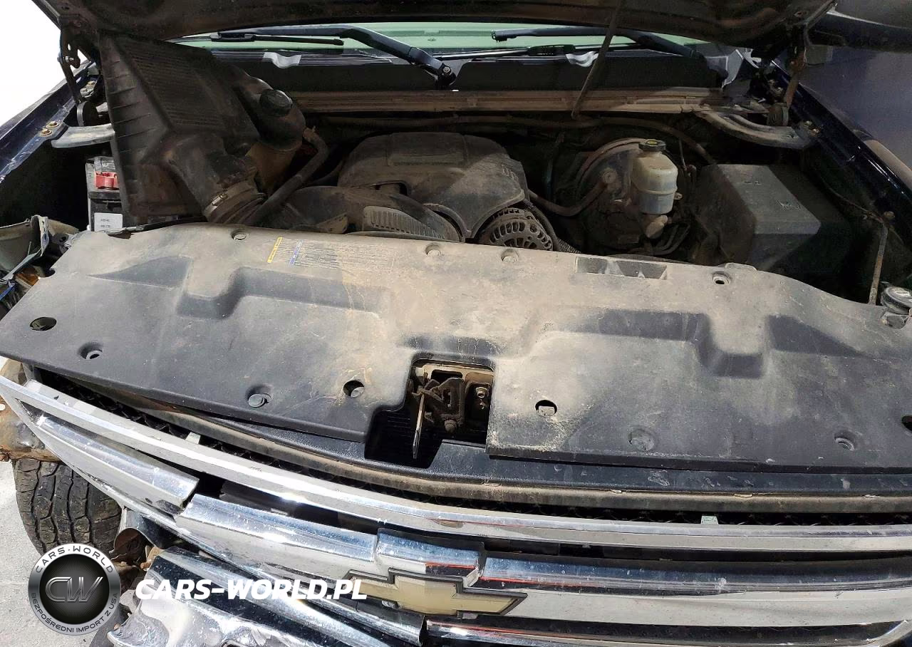 2009 Chevrolet Silverado K1500 VIN:1GCEK19C89Z250436 - 11