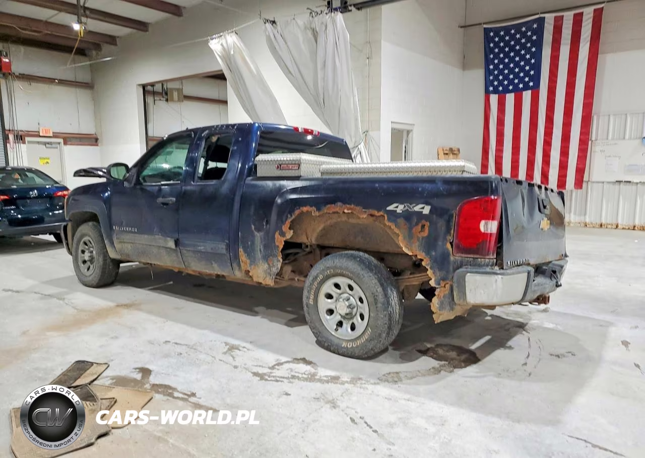 2009 Chevrolet Silverado K1500 VIN:1GCEK19C89Z250436 - 2
