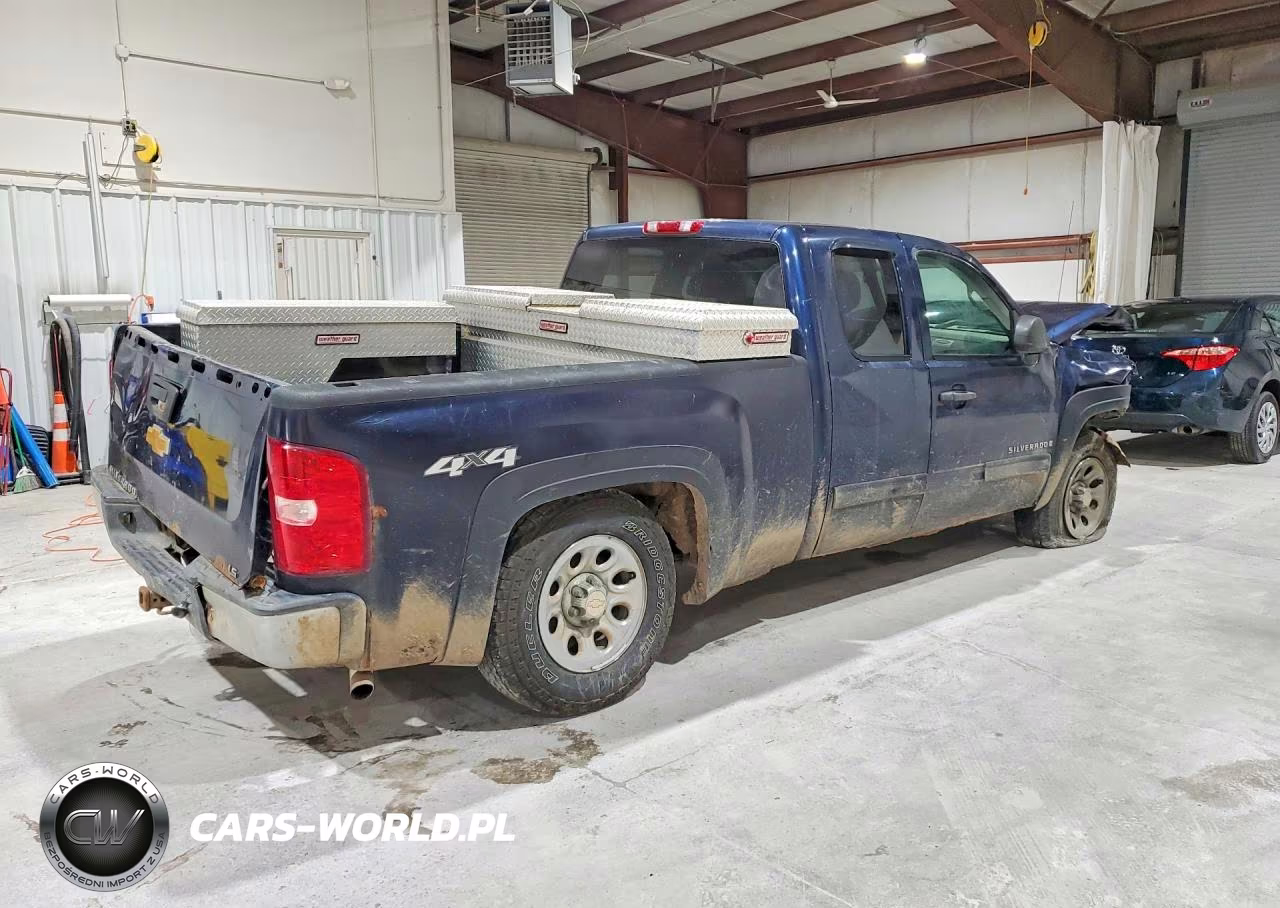 2009 Chevrolet Silverado K1500 VIN:1GCEK19C89Z250436 - 3