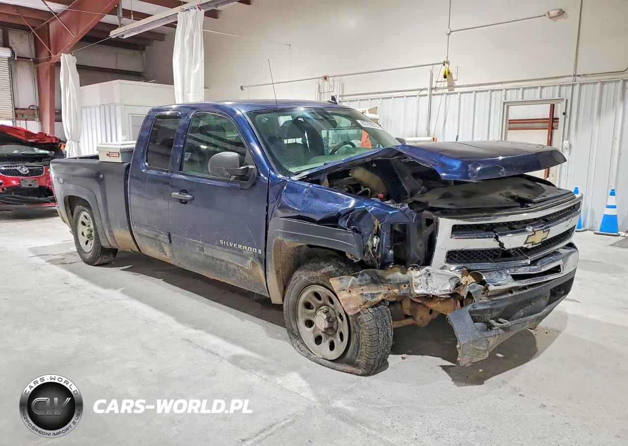 2009 Chevrolet Silverado K1500 VIN:1GCEK19C89Z250436 - 4