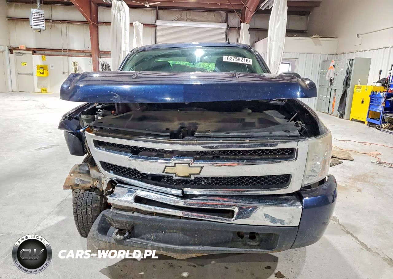 2009 Chevrolet Silverado K1500 VIN:1GCEK19C89Z250436 - 5