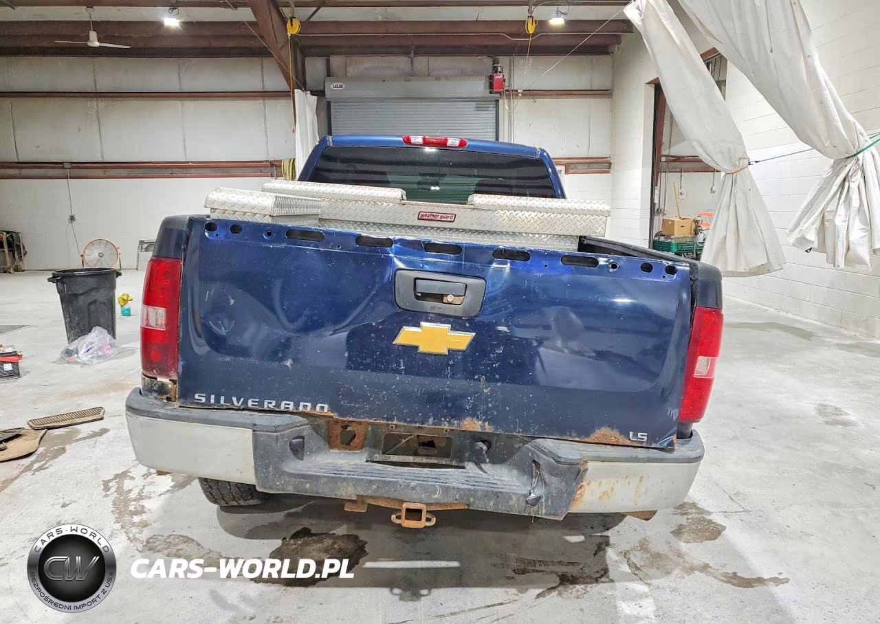 2009 Chevrolet Silverado K1500 VIN:1GCEK19C89Z250436 - 6