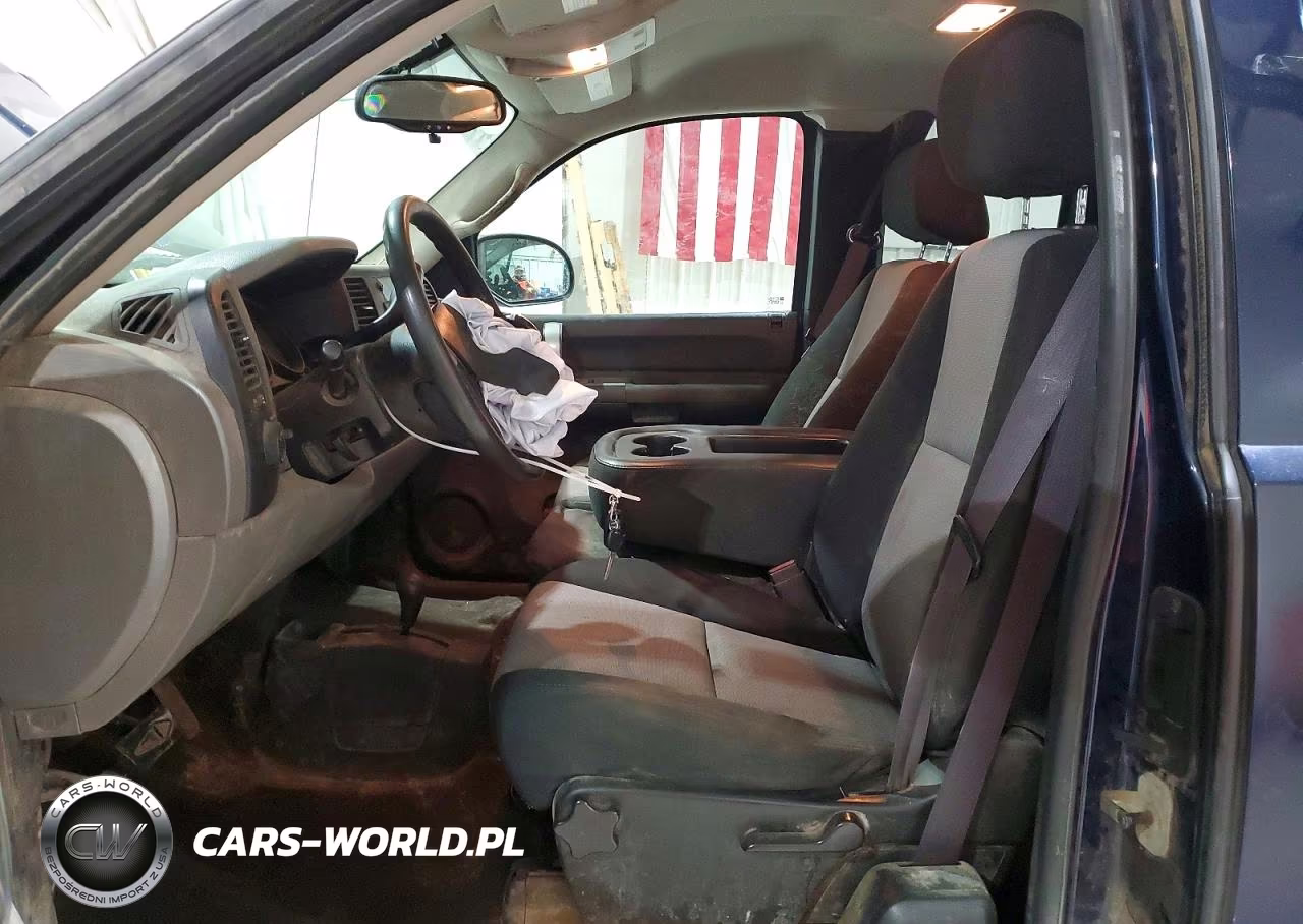 2009 Chevrolet Silverado K1500 VIN:1GCEK19C89Z250436 - 7