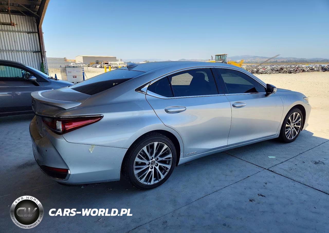 2019 Lexus Es 300H VIN:JTHB21B11K2004580 - 3