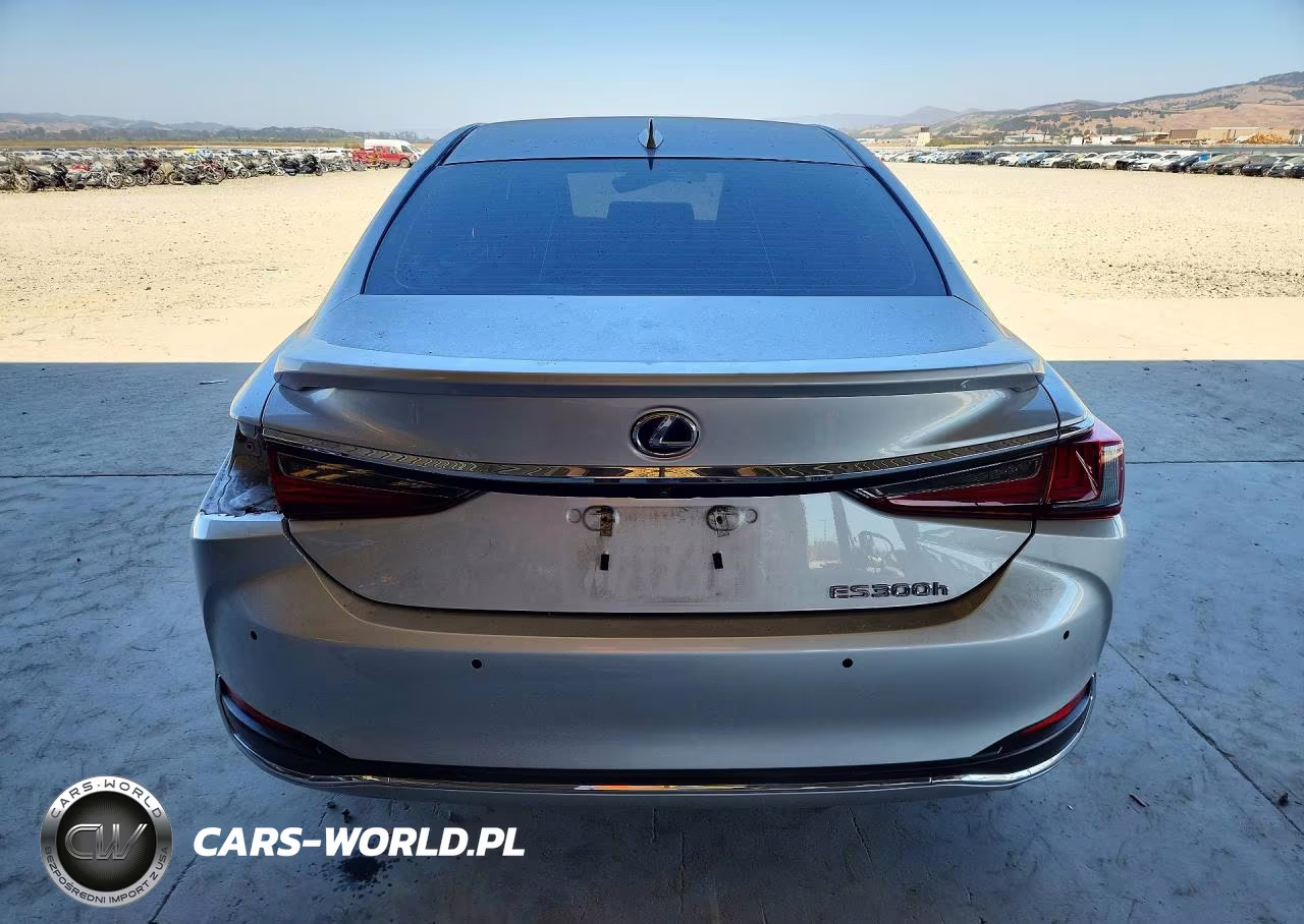 2019 Lexus Es 300H VIN:JTHB21B11K2004580 - 6
