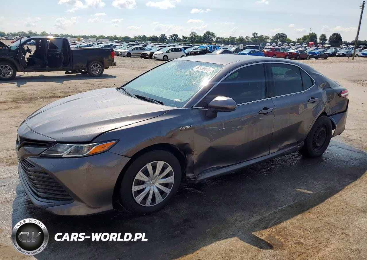 2019 Toyota Camry Le VIN:4T1B31HK9KU513508 - 1