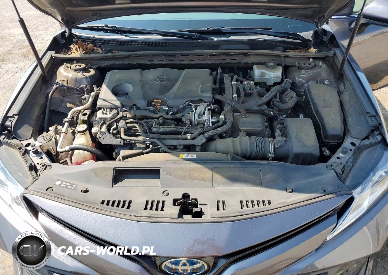 2019 Toyota Camry Le VIN:4T1B31HK9KU513508 - 11