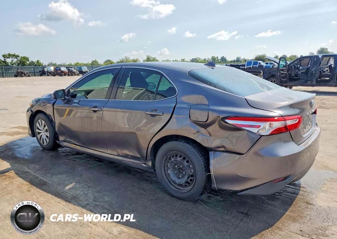 2019 Toyota Camry Le VIN:4T1B31HK9KU513508 - 2
