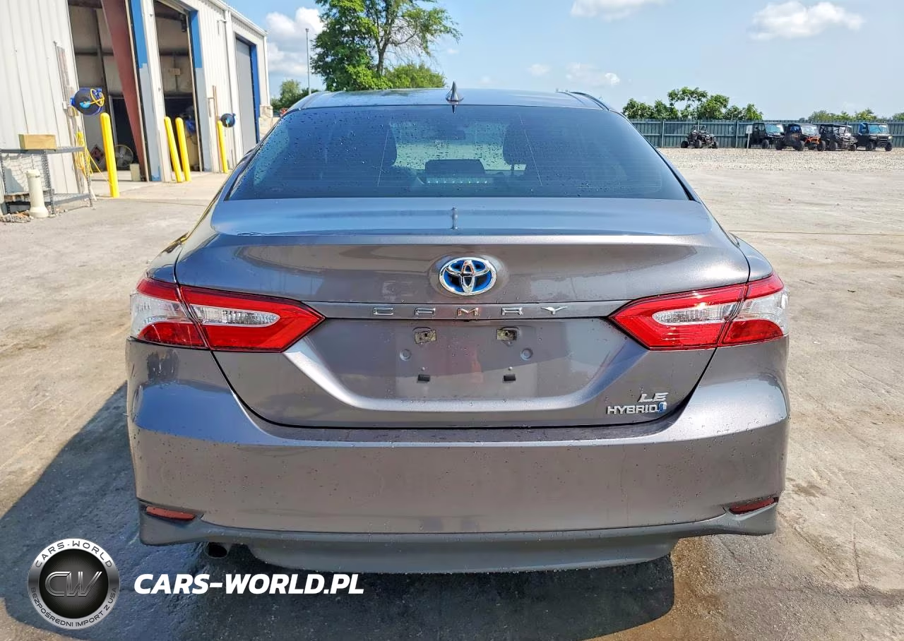 2019 Toyota Camry Le VIN:4T1B31HK9KU513508 - 6
