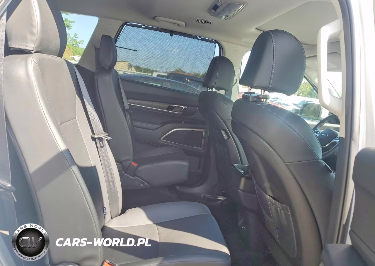 2024 Kia Telluride Ex VIN:5XYP34GC3RG511920 - 11