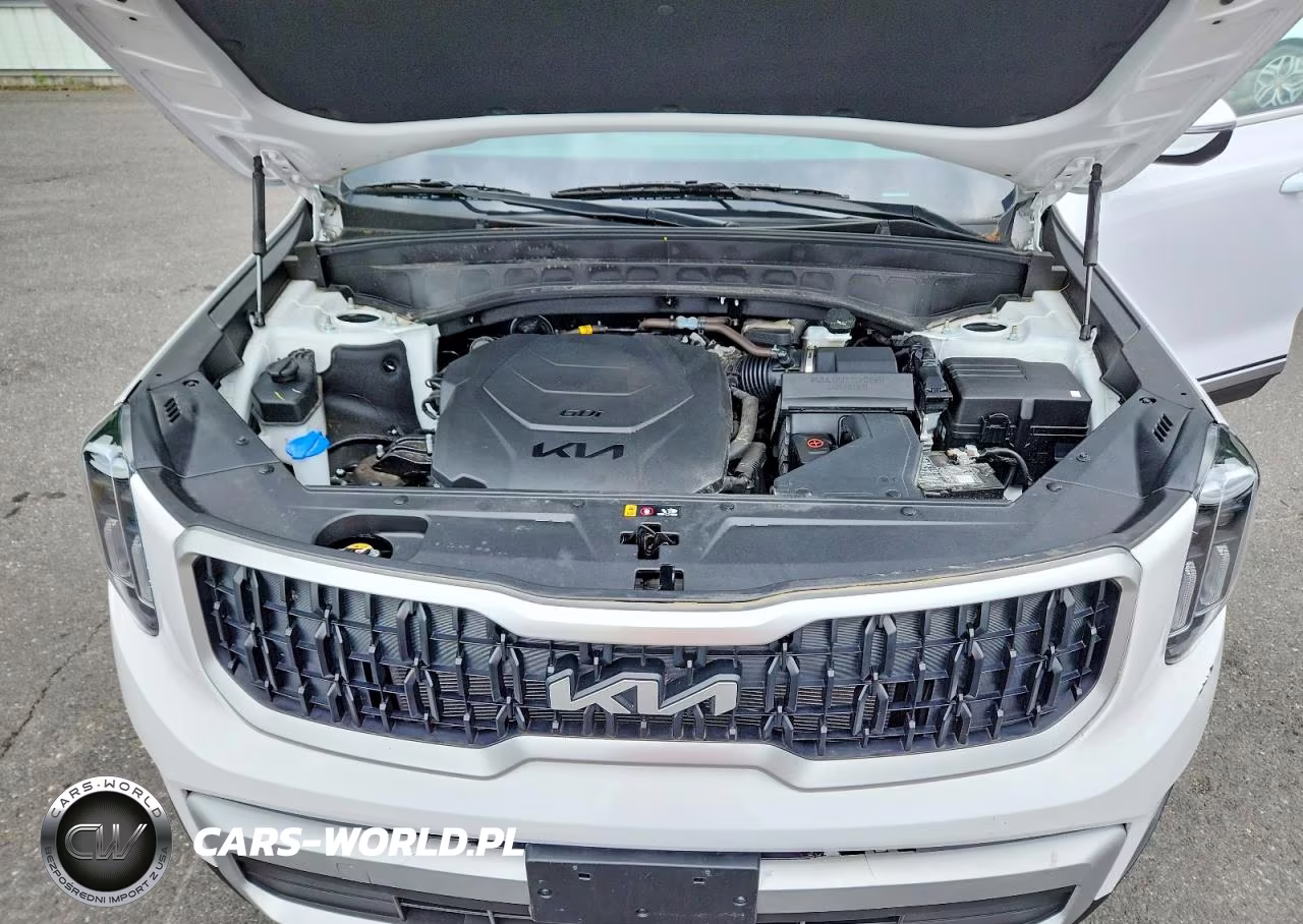 2024 Kia Telluride Ex VIN:5XYP34GC3RG511920 - 12