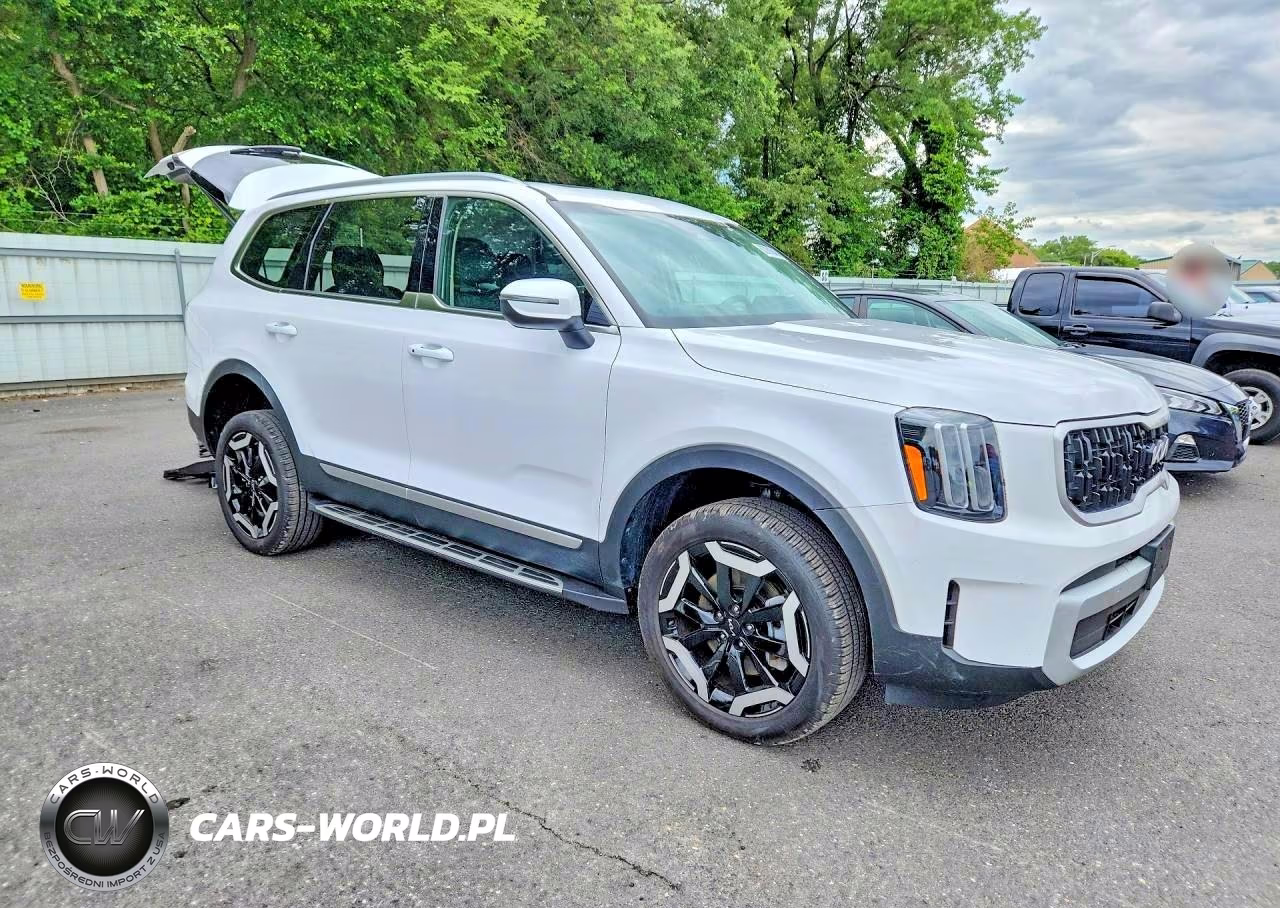 2024 Kia Telluride Ex VIN:5XYP34GC3RG511920 - 4
