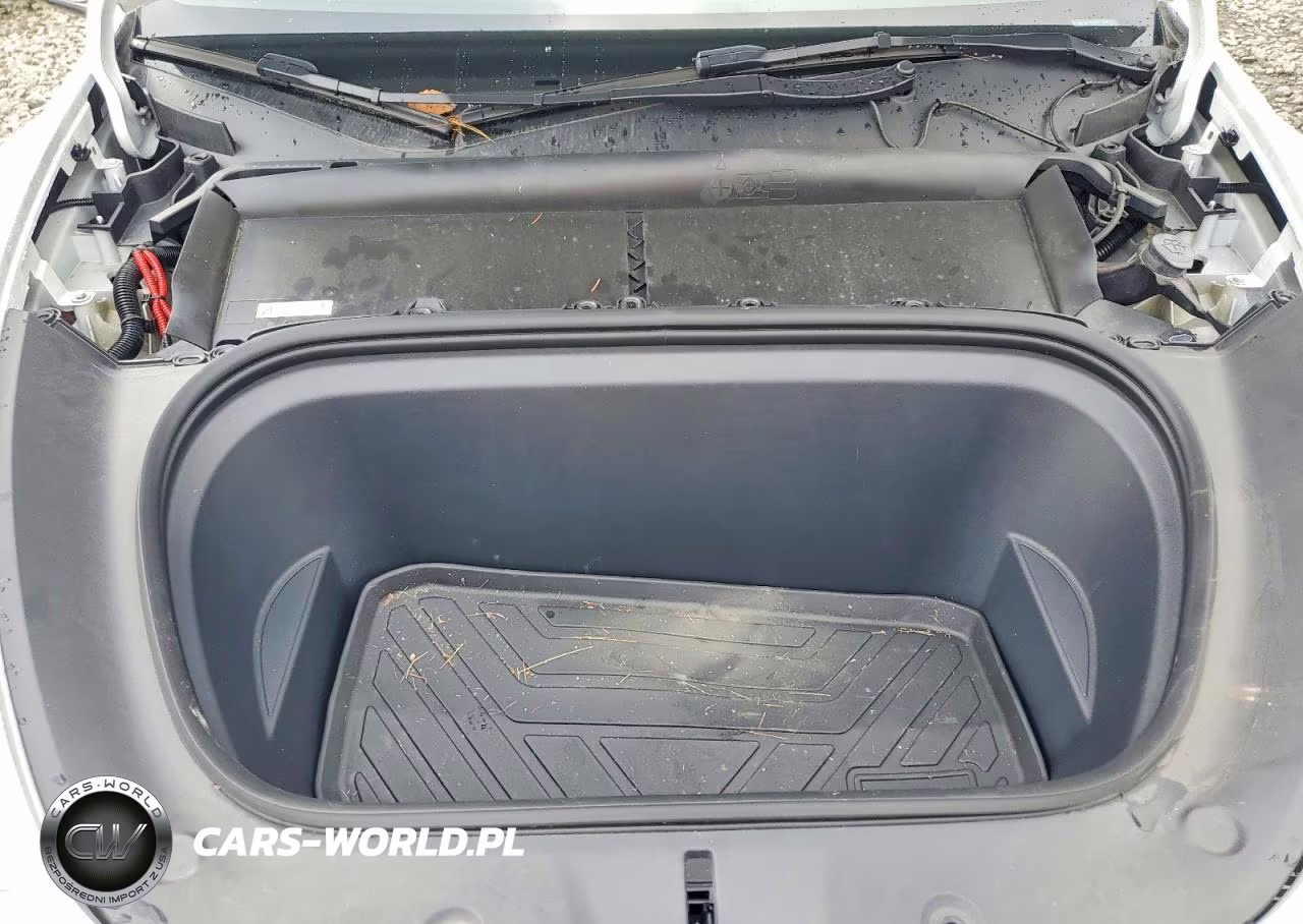 2023 Tesla Model Y VIN:7SAYGDEE9PA119297 - 11