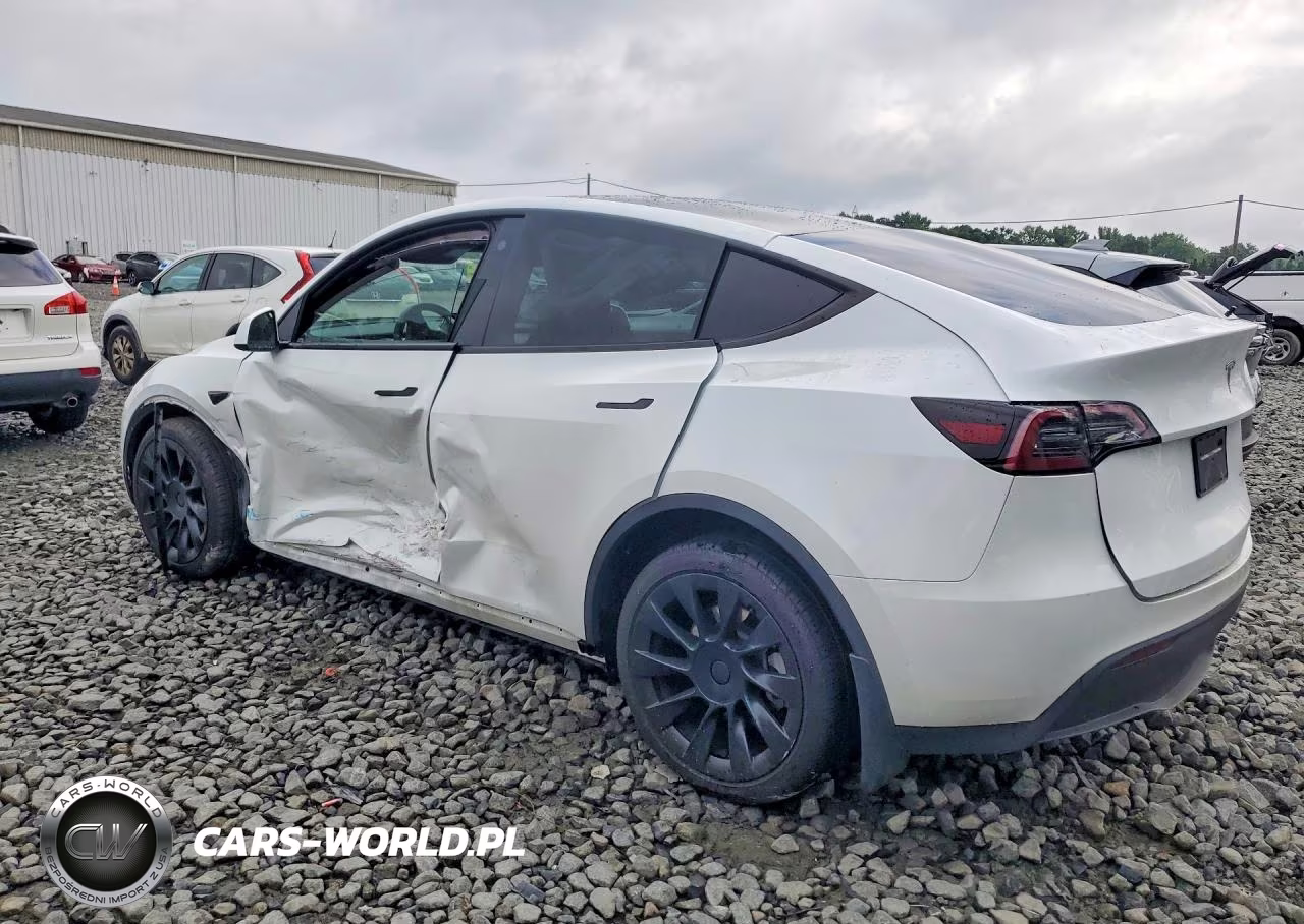 2023 Tesla Model Y VIN:7SAYGDEE9PA119297 - 2