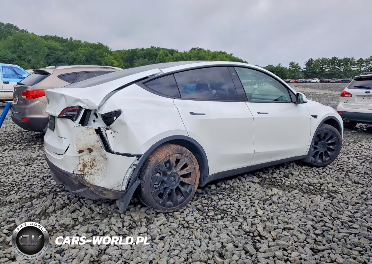 2023 Tesla Model Y VIN:7SAYGDEE9PA119297 - 3