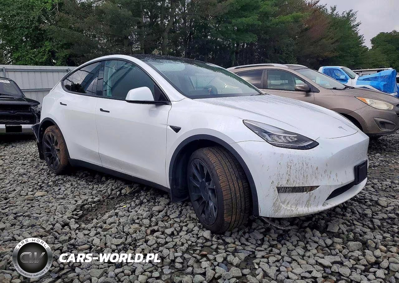 2023 Tesla Model Y VIN:7SAYGDEE9PA119297 - 4