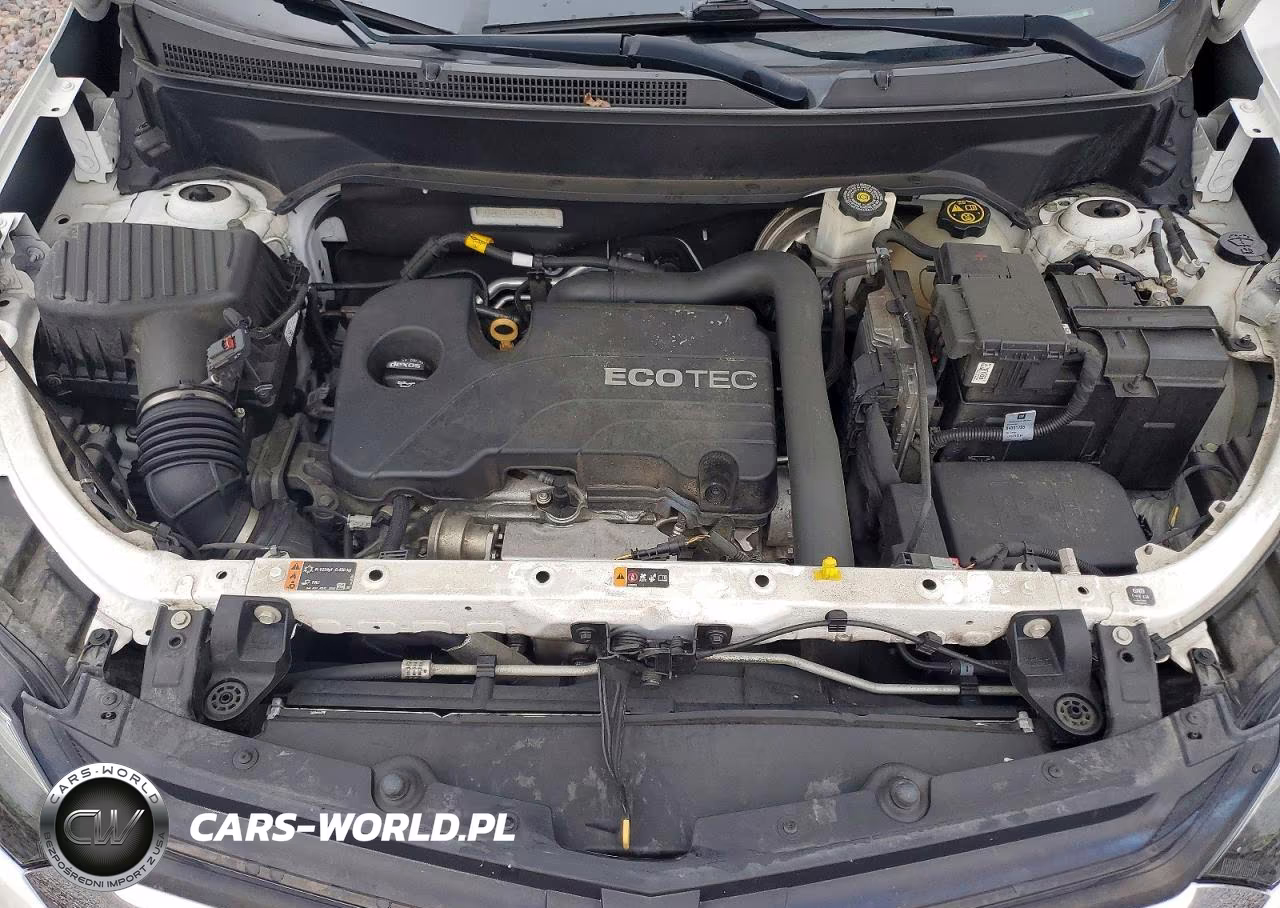 2019 Chevrolet Equinox Lt VIN:2GNAXJEV2K6297185 - 12