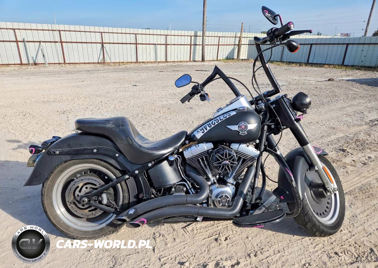 2010 Harley-Davidson Flstfb