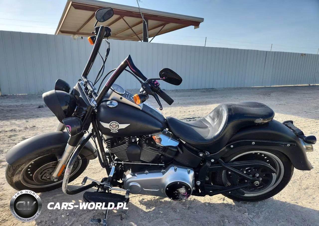 2010 Harley-Davidson Flstfb VIN:1HD1JN51XAB032622 - 3