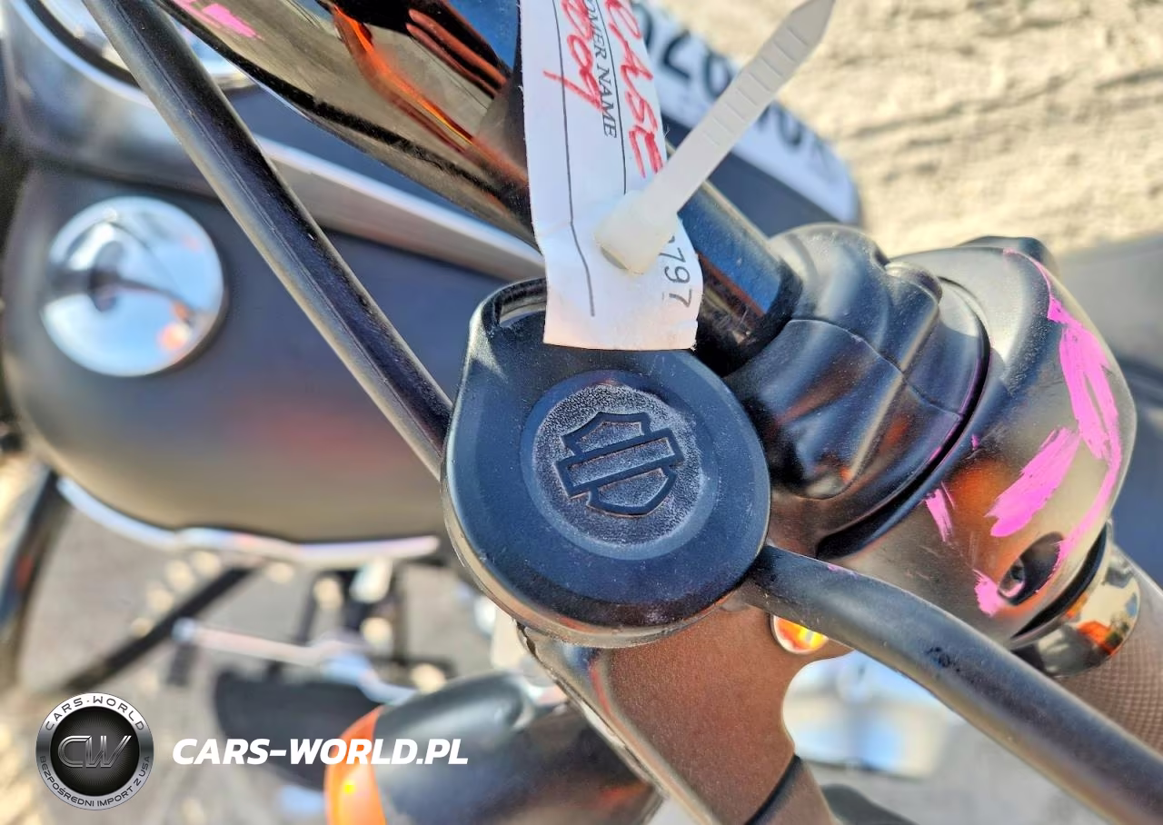2010 Harley-Davidson Flstfb VIN:1HD1JN51XAB032622 - 8