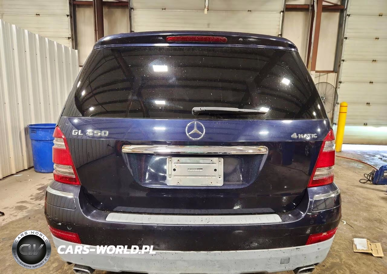 2008 Mercedes-Benz Gl 450 4Matic VIN:4JGBF71E58A346959 - 6
