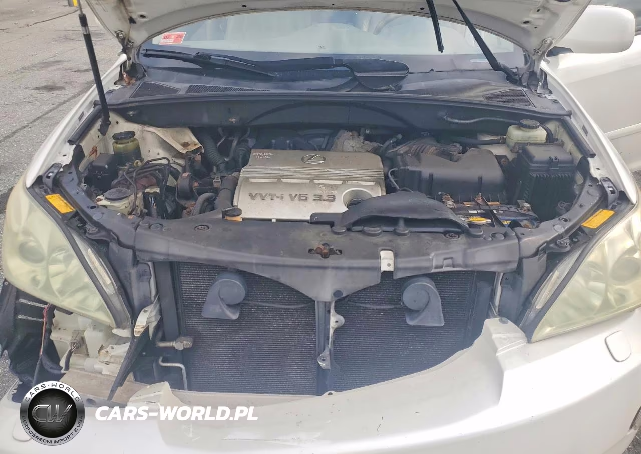2004 Lexus Rx 330 VIN:JTJHA31U440028096 - 12