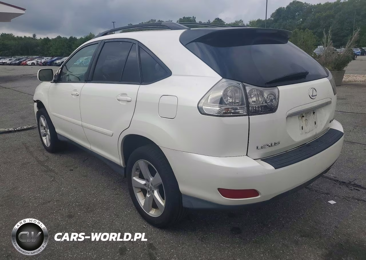 2004 Lexus Rx 330 VIN:JTJHA31U440028096 - 2