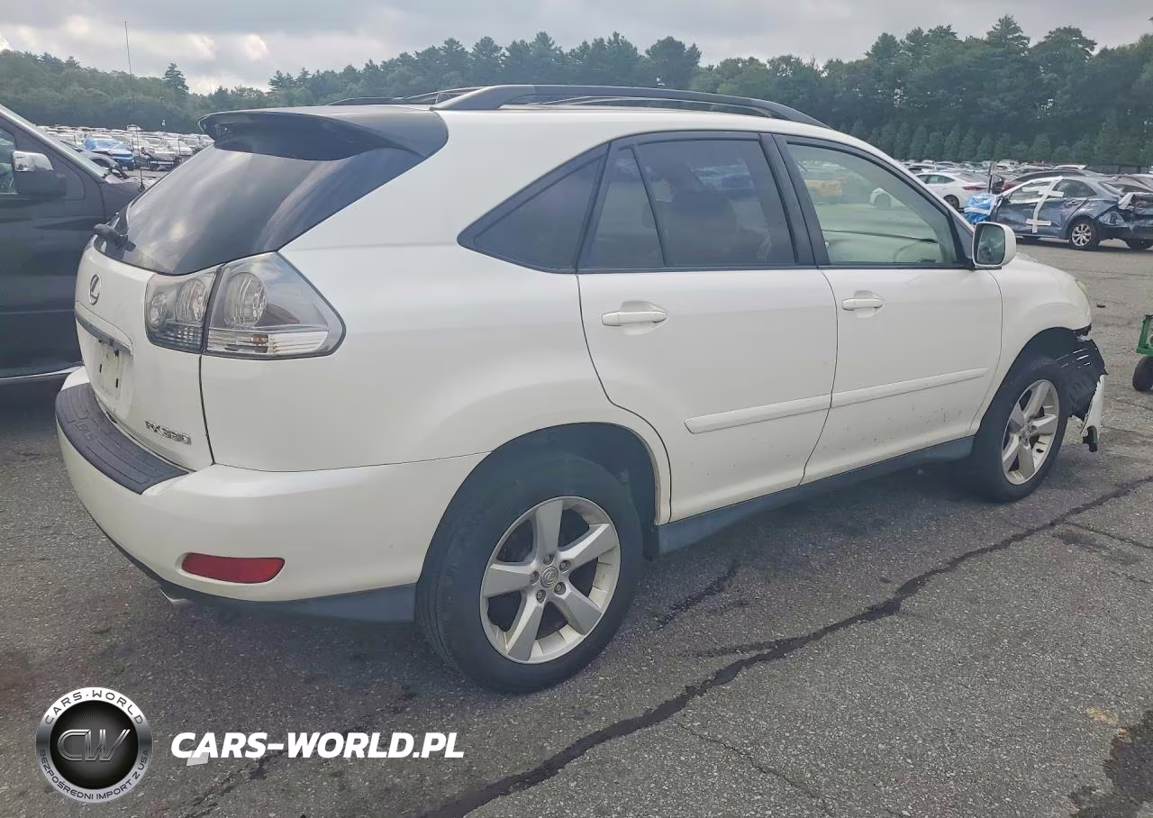 2004 Lexus Rx 330 VIN:JTJHA31U440028096 - 3