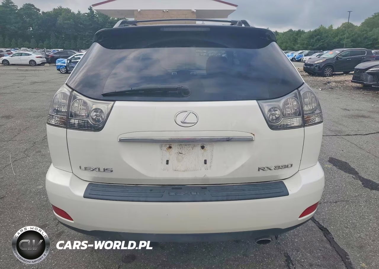2004 Lexus Rx 330 VIN:JTJHA31U440028096 - 6