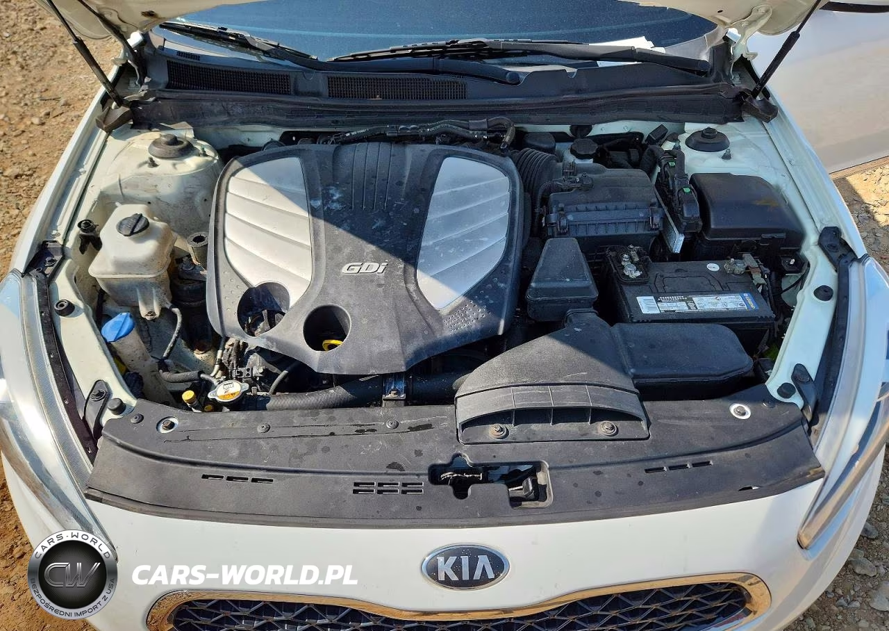 2014 Kia Cadenza Premium VIN:KNALN4D74E5140461 - 11