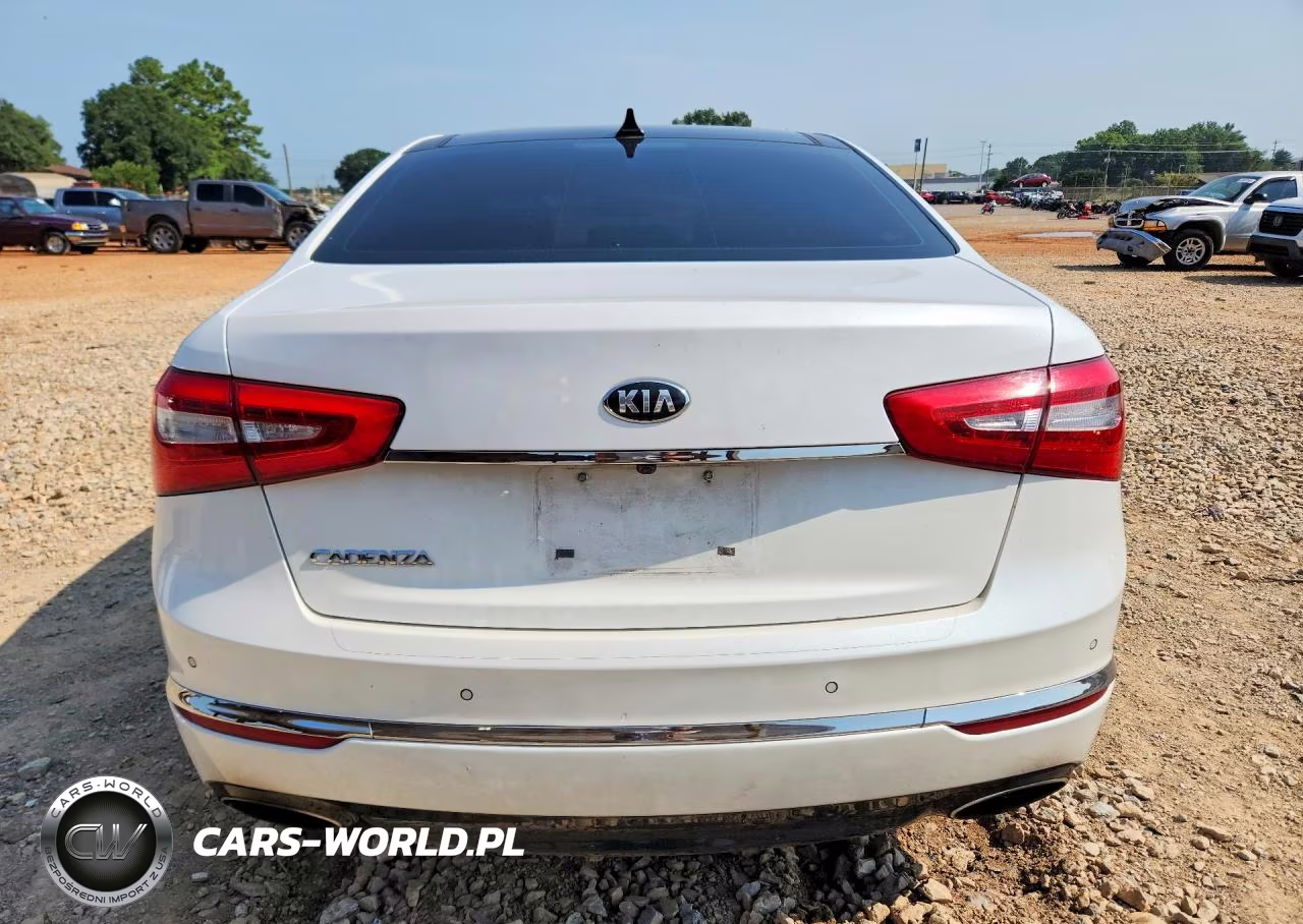 2014 Kia Cadenza Premium VIN:KNALN4D74E5140461 - 6