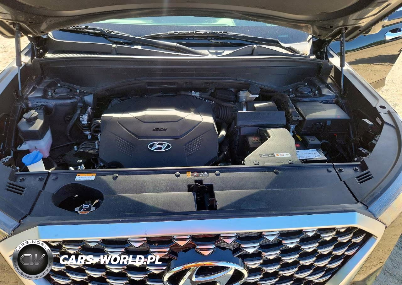 2021 Hyundai Palisade Calligraphy VIN:KM8R7DHEXMU265383 - 12