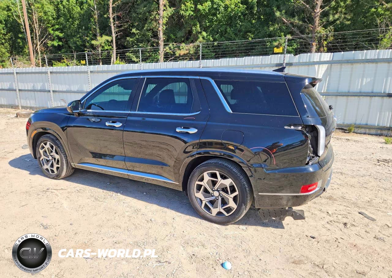 2021 Hyundai Palisade Calligraphy VIN:KM8R7DHEXMU265383 - 2