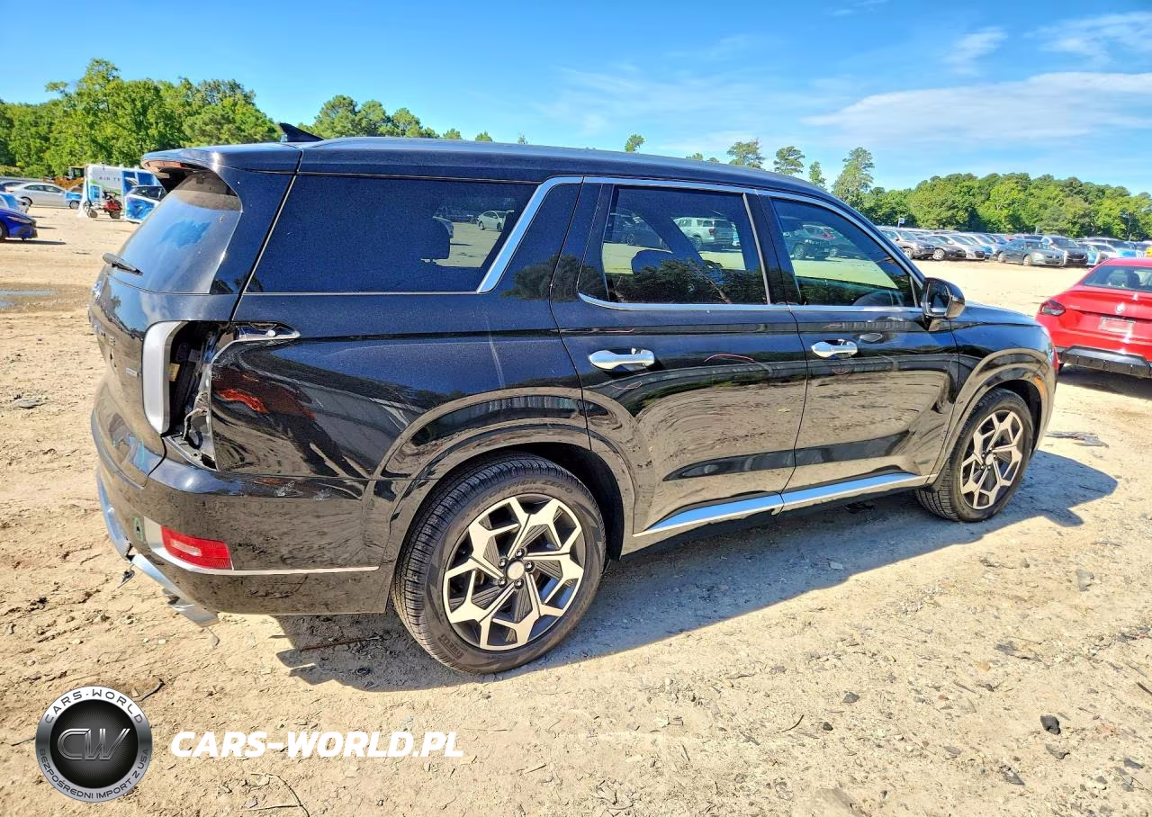 2021 Hyundai Palisade Calligraphy VIN:KM8R7DHEXMU265383 - 3